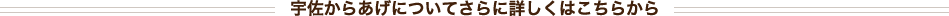 宇佐からあげについてさらに詳しくはこちらから